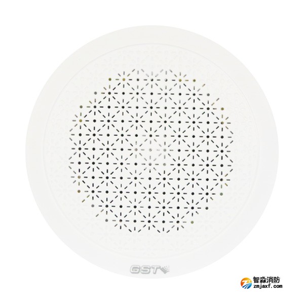 海湾HY6251吸顶音箱